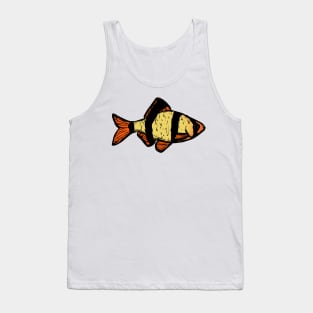 Tiger Barb - freshwater aquarium fish Tank Top